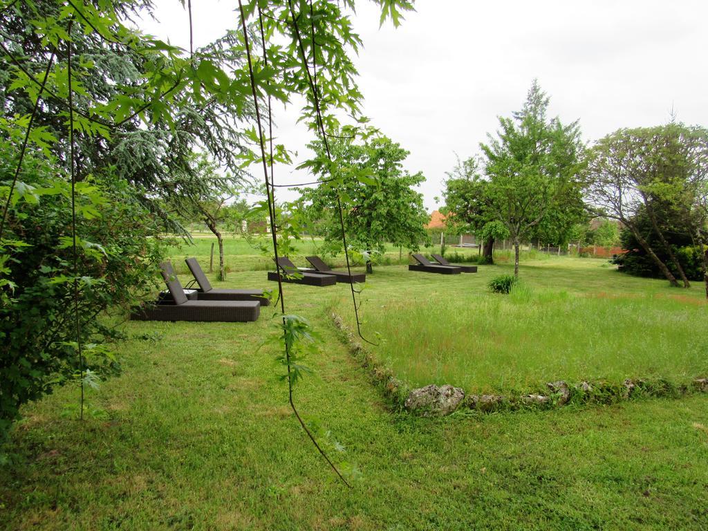 Auberge Du Grand Dauphin Dhuizon Bagian luar foto