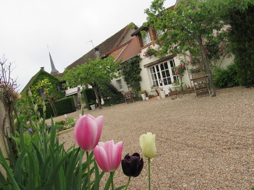 Auberge Du Grand Dauphin Dhuizon Bagian luar foto